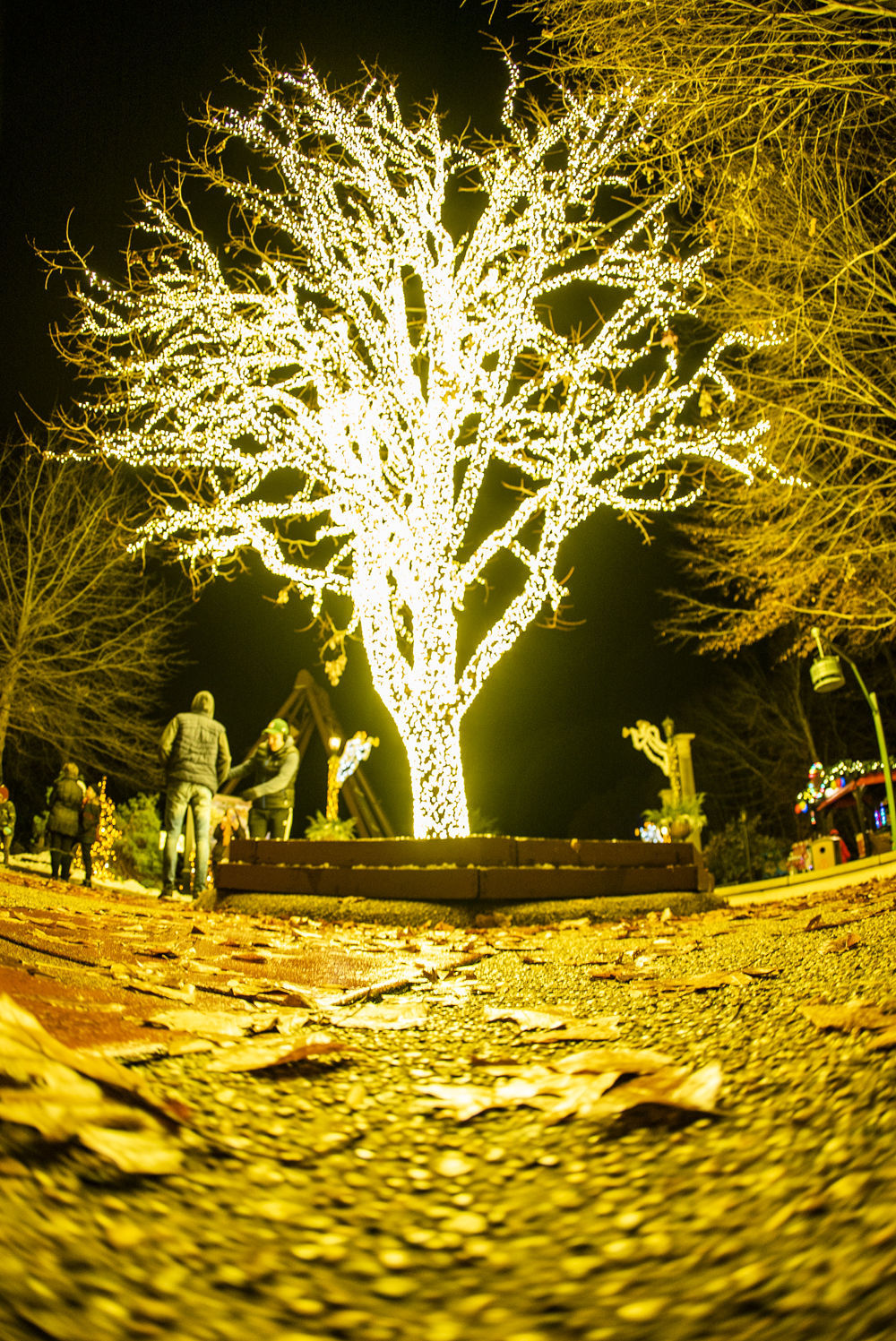 Christmas Town at Busch Gardens